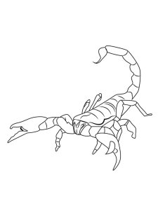 Scorpion coloring page - picture 2