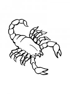 Scorpion coloring page - picture 21