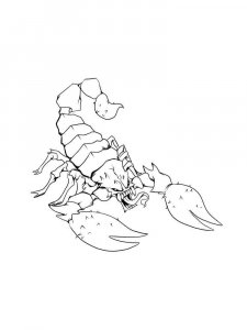 Scorpion coloring page - picture 24