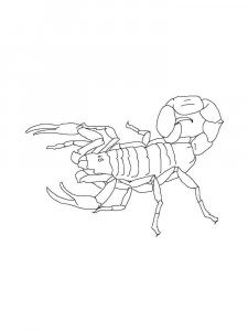 Scorpion coloring page - picture 25