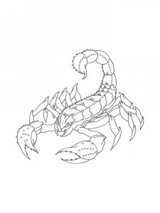 Scorpion coloring page - picture 26