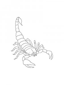 Scorpion coloring page - picture 27