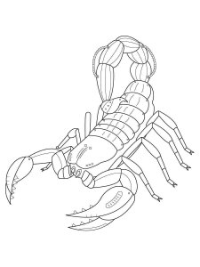 Scorpion coloring page - picture 29