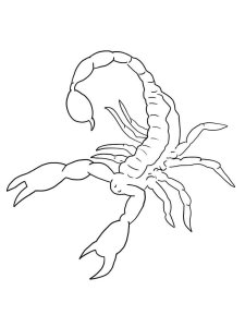 Scorpion coloring page - picture 3