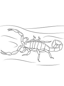 Scorpion coloring page - picture 30