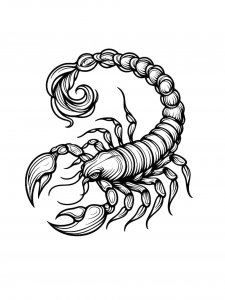 Scorpion Coloring Pages 31