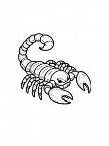 Scorpion Coloring Pages 35
