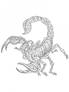 Scorpion coloring page - picture 6