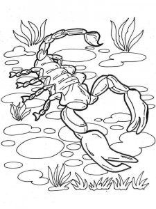 Scorpion coloring page - picture 7