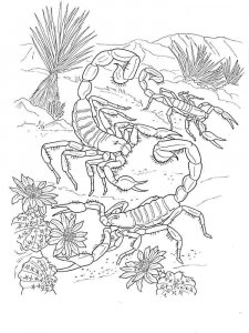 Scorpion coloring page - picture 9