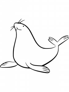 Sea Lion coloring page - picture 17