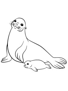 Sea Lion coloring page - picture 6