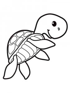 Sea Turtle coloring page - picture 11