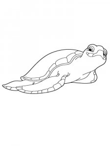 Sea Turtle coloring page - picture 14