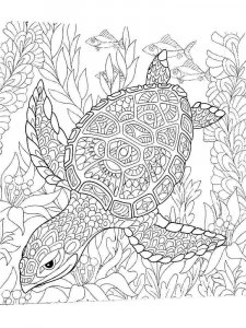 Sea Turtle coloring page - picture 16