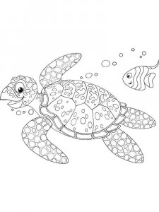 Sea Turtle coloring page - picture 18