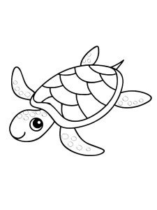 Sea Turtle coloring page - picture 2