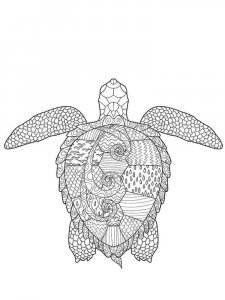 Sea Turtle coloring page - picture 21