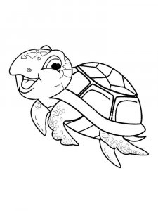 Sea Turtle coloring page - picture 23