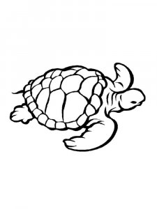 Sea Turtle coloring page - picture 25