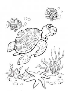 Sea Turtle coloring page - picture 26