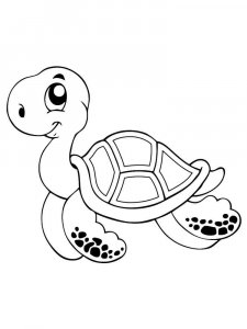 Sea Turtle coloring page - picture 28