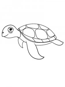 Sea Turtle coloring page - picture 29