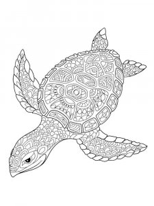Sea Turtle coloring page - picture 32