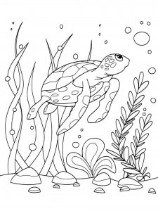 Sea Turtle coloring page - picture 34