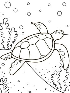 Sea Turtle coloring page - picture 5