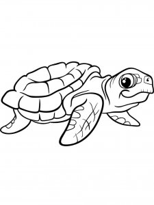 Sea Turtle coloring page - picture 6