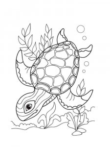 Sea Turtle coloring page - picture 9