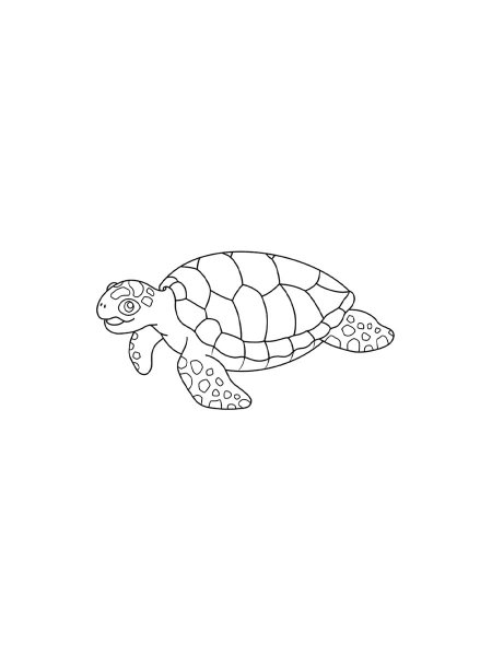 Sea Turtle coloring pages