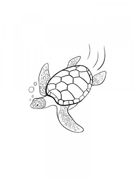 Sea Turtle coloring pages