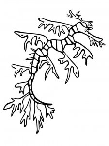 Seadragon coloring page - picture 10