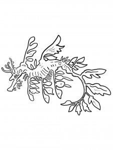 Seadragon coloring page - picture 13