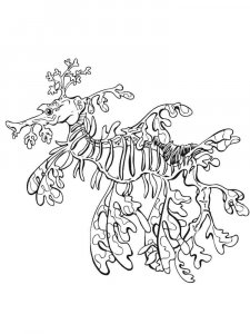 Seadragon coloring page - picture 3