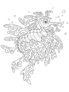 Seadragon coloring page - picture 6