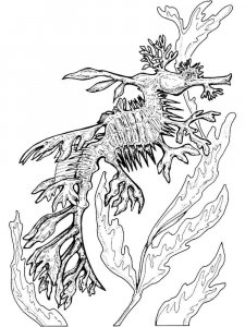 Seadragon coloring page - picture 7