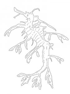 Seadragon coloring page - picture 8