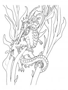 Seadragon coloring page - picture 9
