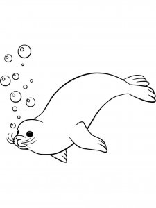 Seal coloring page - picture 1