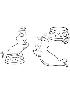 Seal coloring page - picture 12