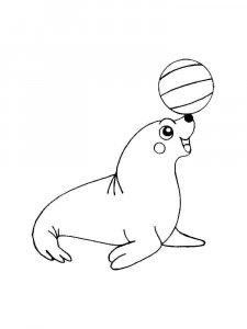 Seal coloring page - picture 16