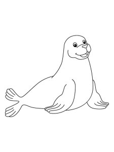 Seal coloring page - picture 20
