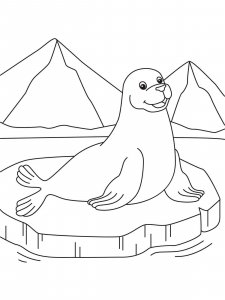 Seal coloring page - picture 5