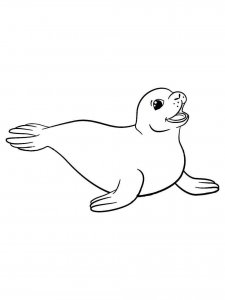 Seal coloring page - picture 6