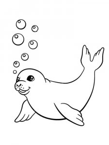Seal coloring page - picture 9