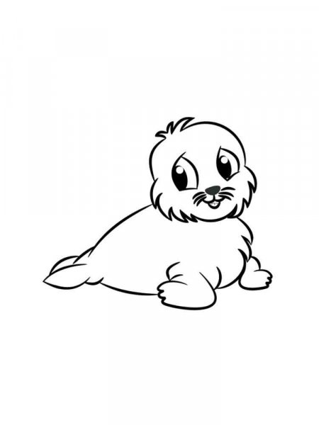 Seal coloring pages