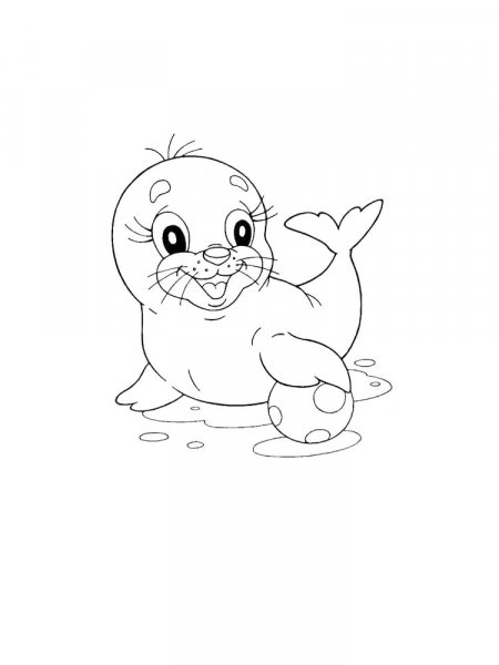 Seal coloring pages